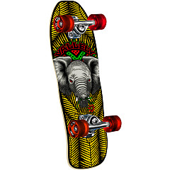 Powell Peralta Class Cruiser Skull & Sword Birch Complete