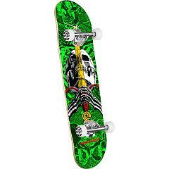 Powell Peralta Mike Vallely Elephant Birch Complete Skateboard