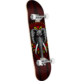 00s POWELL PERALTA Mike Vallely ロンT フェード DAGCPPF25MVE24220B.jpg